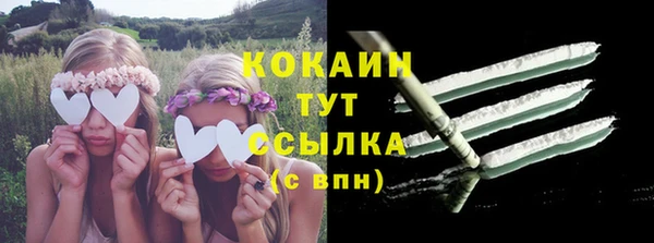 прущие грибы Арсеньев