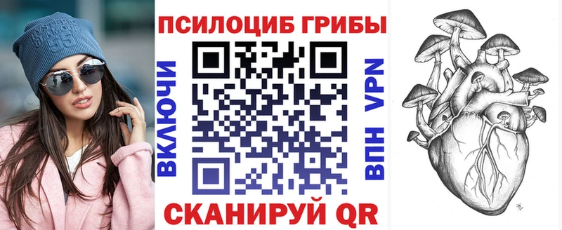 Галлюциногенные грибы мухоморы  даркнет сайт  Чудово 